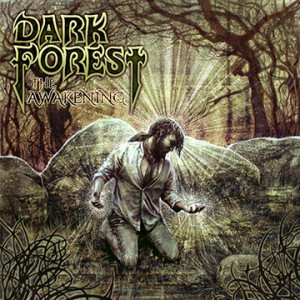darkforesttheawakening