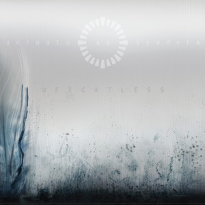 animals as leaders weightless