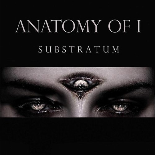 anatomy of i substratum