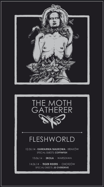 the moth gatherer