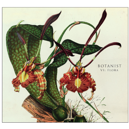 botanist VI: Flora