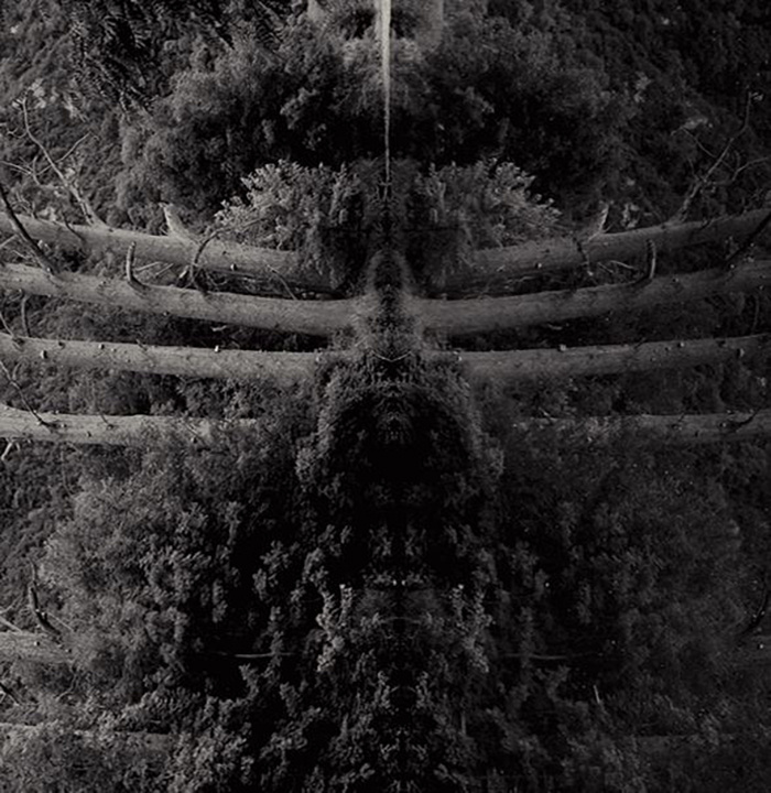 reflect