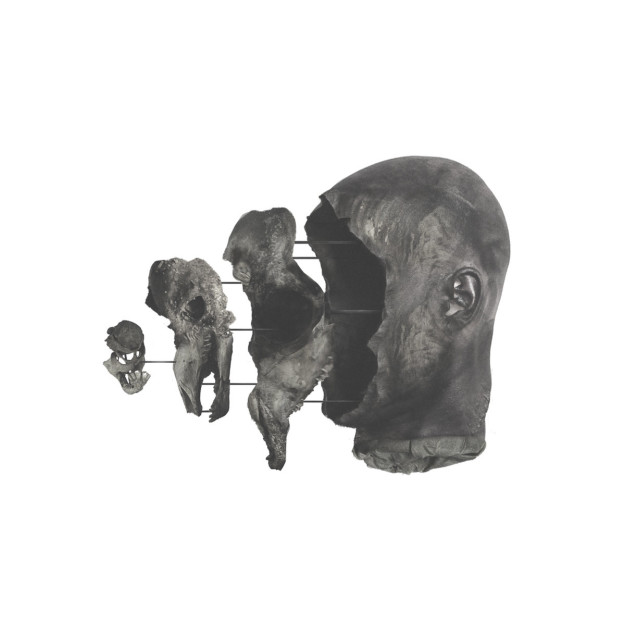 The Sense Of Dust And Sheer