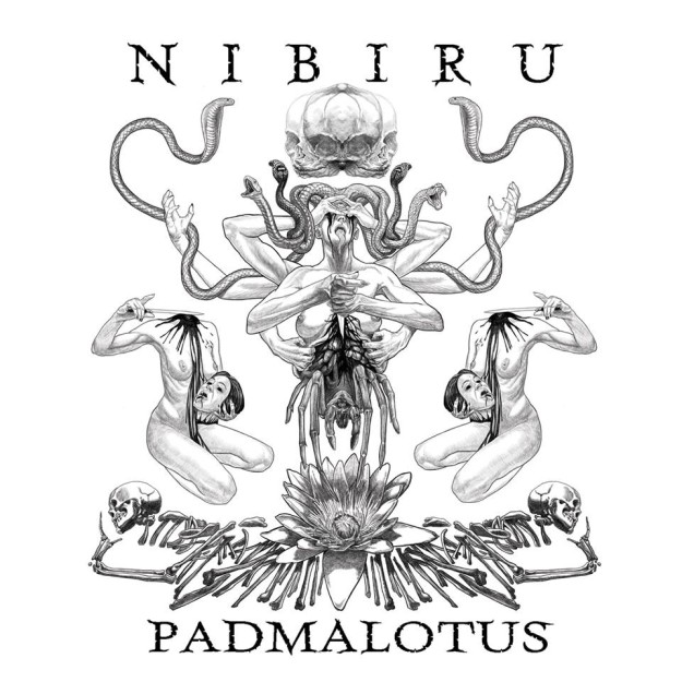 nibiru-padmalotus COP