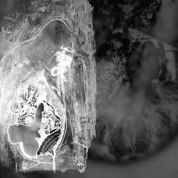 split_blisterthemaw