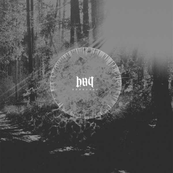 Bait – sunburst