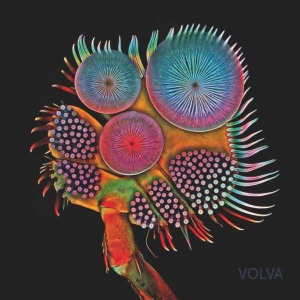 volva