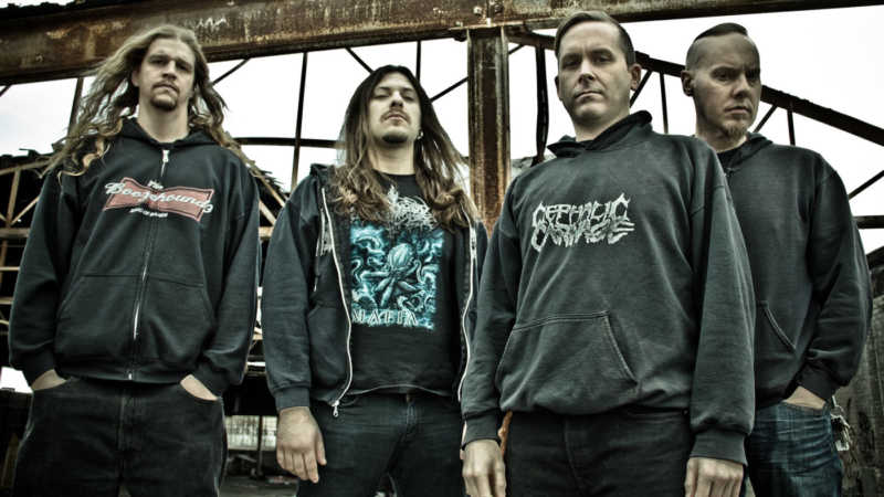 cattle decapitation band