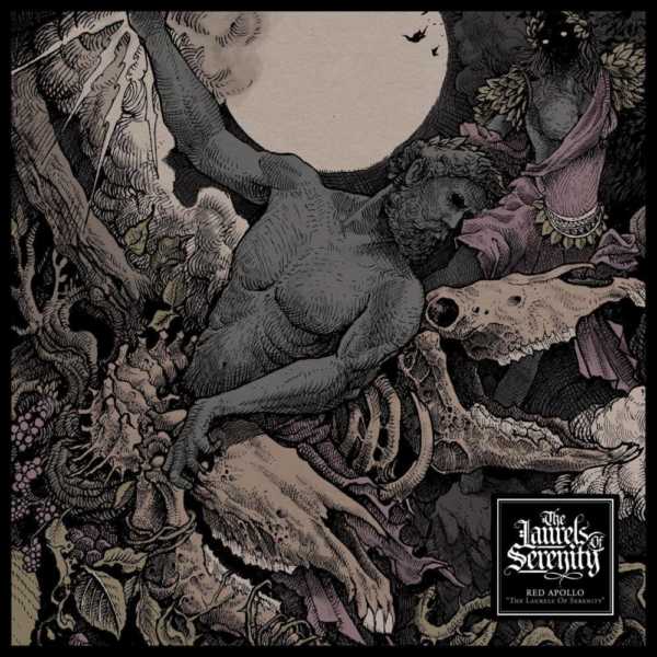 33683922_1782857795112560_6868790318586658816_o