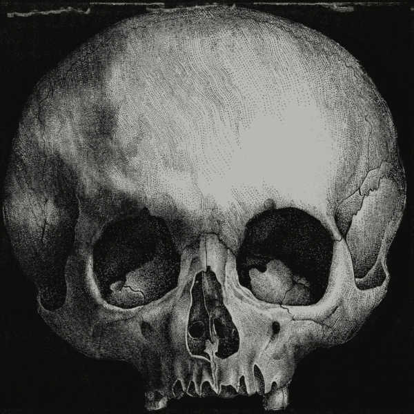 Kint – Stoned.Immaculate