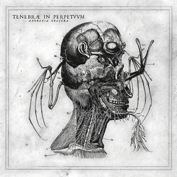 Tenebrae in Perpetuum – Anorexia Obscura