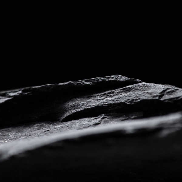 a1638916271_10