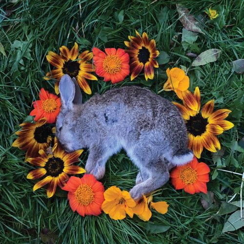 your time to shine artwork 500×500