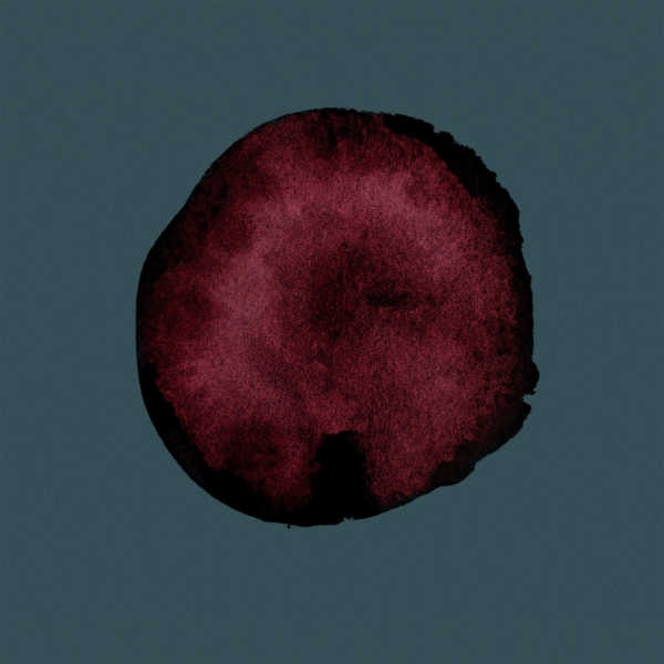 Placenta_Cover