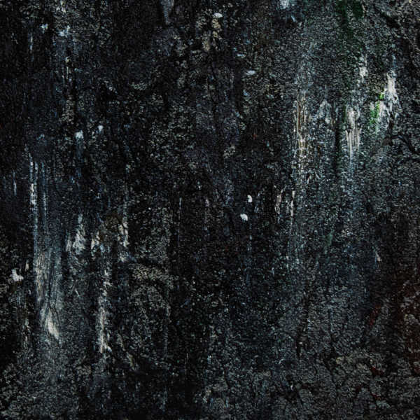 a1535641343_10