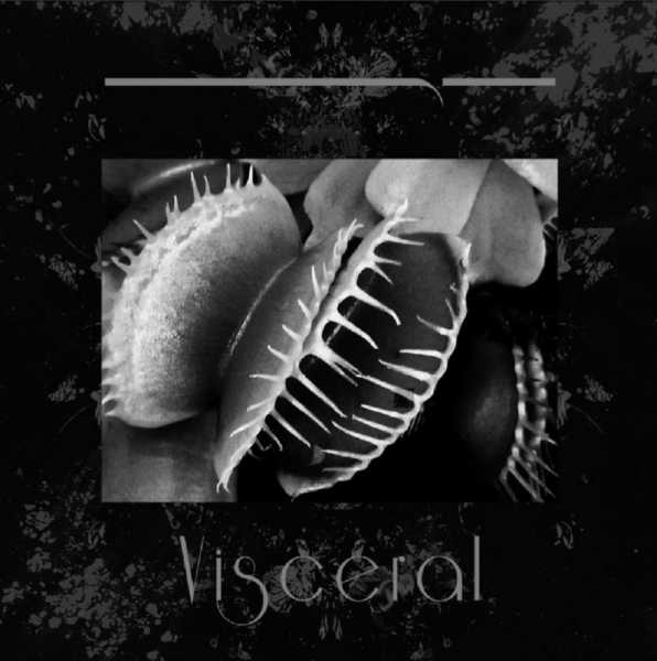 visceral