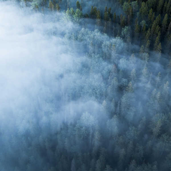 a3642416962_10