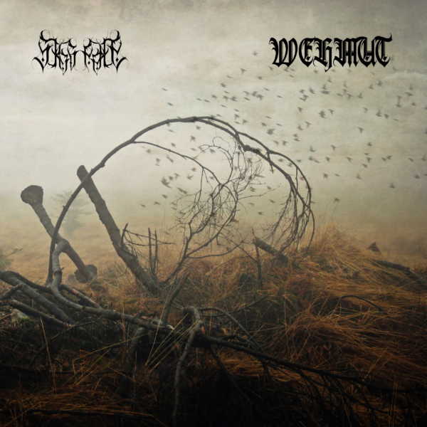 Split-Cover