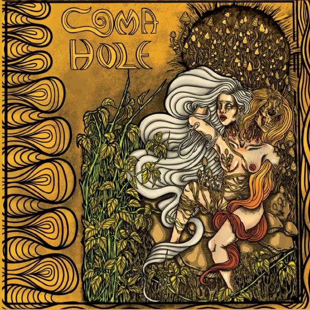495304-coma-hole