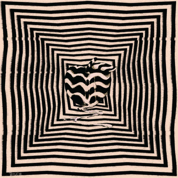 a1017375138_10