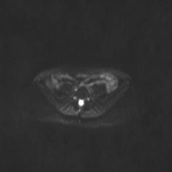 a0893451195_10