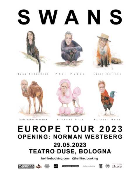 swans2023