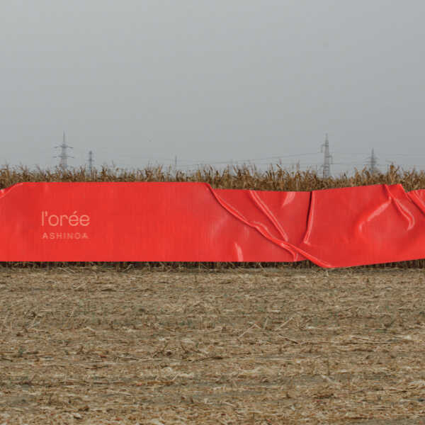 ASHINOA_L_OREE_COVER