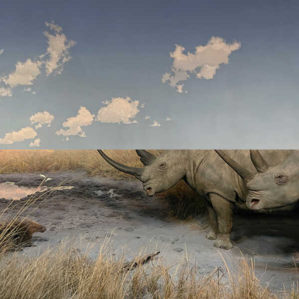 Carpet-Collision_AlbumCover_1000x1000_FINAL