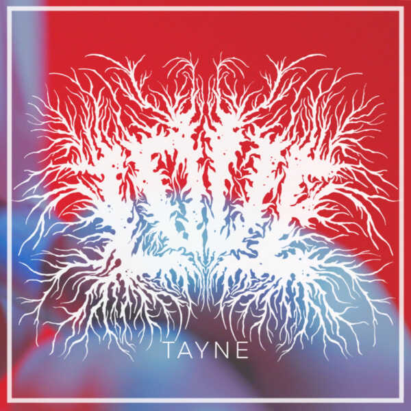 TAYNE