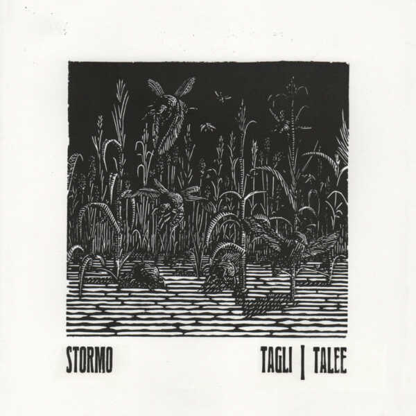 stormo