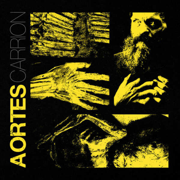 Aortes-Carrion