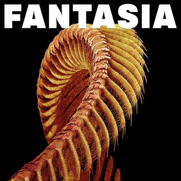 fantasia cover