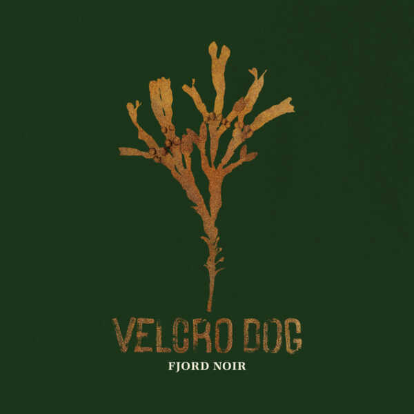 velcrodog